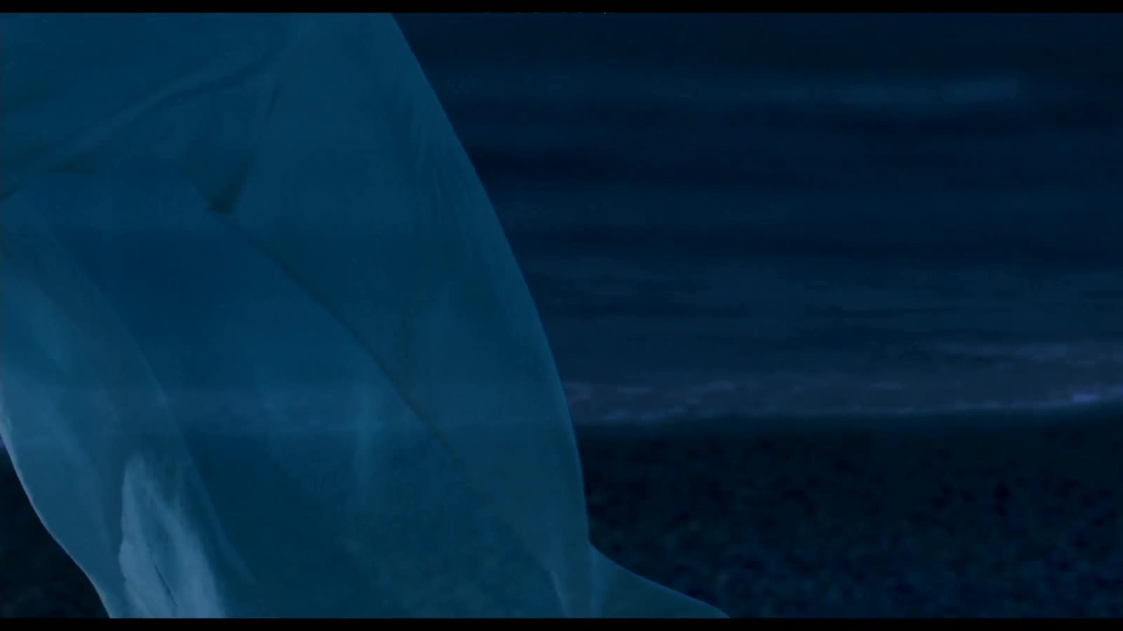 A pale fabric moving in the wind against a dark tideline, from White